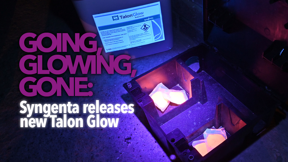 syngenta-new-talon-glow